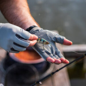 Istockphoto 1427612118 612x612