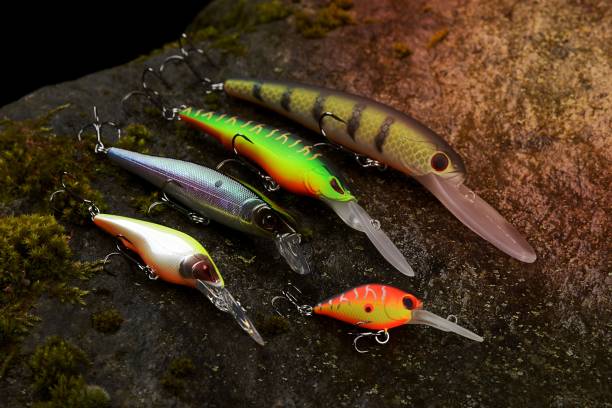 Group of fishing lures wobblers on a wet stone with moss