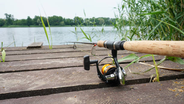 Istockphoto 1500504714 612x612