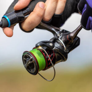 Istockphoto 1688017701 612x612