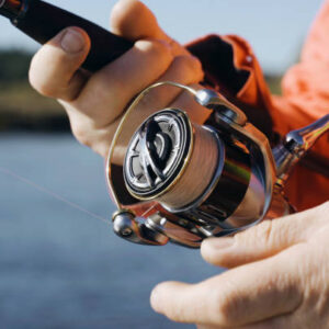 Istockphoto 2151028254 612x612