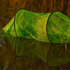 Istockphoto 2166478422 612x612