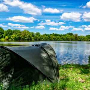 Istockphoto 2166908324 612x612